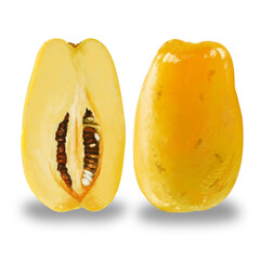 リアルなかりんのイラスト　手描き