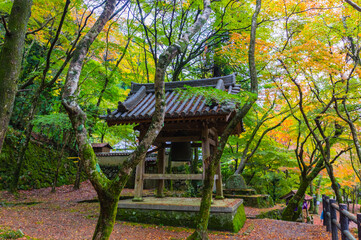 大阪府岸和田大威徳寺の秋風景