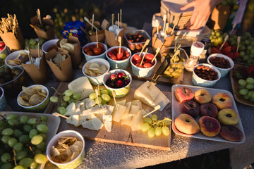 Delicious appetizers at a dinner party or wedding reception