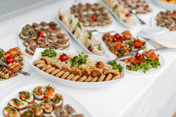 Delicious appetizers at a dinner party or wedding reception