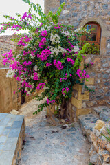 Fototapeta na wymiar Traditional architecture with a narrow stone street and a colorfull bougainvillea in the medieval castle of Monemvasia, Lakonia, Peloponnese, Greece.