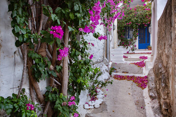 Narrow and colorful street in the village of Kritsa in the island of Crete. White street, beautiful traditional housing in Greece. 