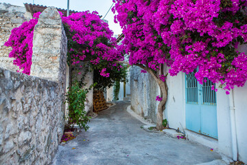 Narrow and colorful street in the village of Kritsa in the island of Crete. White street, beautiful traditional housing in Greece. 