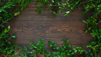 Background with green plants on a wooden brown table with a place for text