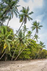 Obraz premium playa4