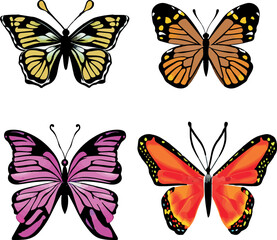 bella silueta de una mariposa aislada en fondo blanco (vector)