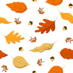 Fototapeta premium Autumn Leaves Seamless Pattern. Vector Illustration With Fallen Leaves, Acorns and Rowan. Perfect for Wrapping Paper, Packing, Textile, etc.