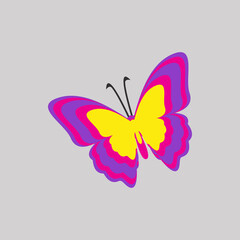 illustration of a butterfly
