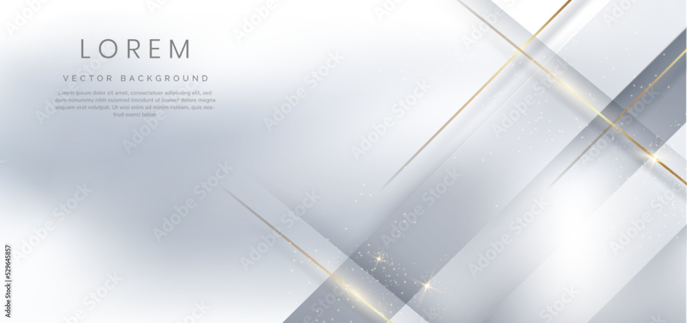 Poster abstract grey and white geometric diagonal overlay layer background.