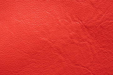 Genuine leather texture background. Red canvas texture background.