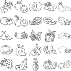 A set of fruits hand-drawn doodle line art outline containing Watermelon, Mango, Avocado, Melon, Tamarind, Durian, Apple, Dragon fruit, Pomegranate, Strawberry, Raspberry, Peach, Plum, Orange, Lemon