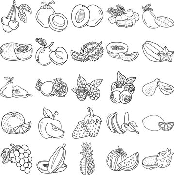 A set of fruits hand-drawn doodle line art outline containing Watermelon, Mango, Avocado, Melon, Tamarind, Durian, Apple, Dragon fruit, Pomegranate, Strawberry, Raspberry, Peach, Plum, Orange, Lemon