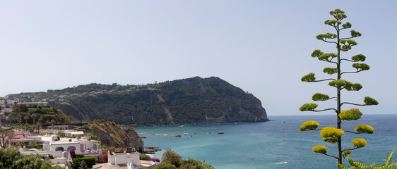 promontory cava of the island in ischia citara