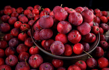 Full plate of fresh red apples. Lots of ripe apples.