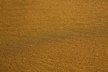 Background with golden sand on the coast of the island of Crete. Abstract surface with sand and clear sea water for text.