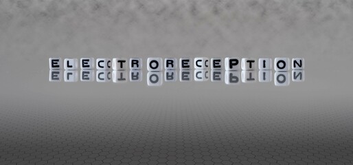 electroreception word or concept represented by black and white letter cubes on a grey horizon...