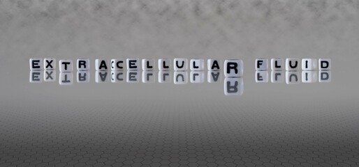 extracellular fluid word or concept represented by black and white letter cubes on a grey horizon...