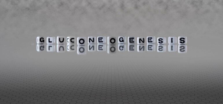 gluconeogenesis word or concept represented by black and white letter cubes on a grey horizon background stretching to infinity