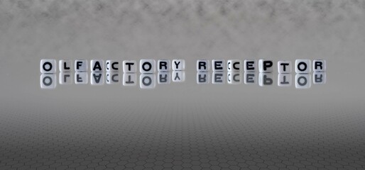 olfactory receptor word or concept represented by black and white letter cubes on a grey horizon...