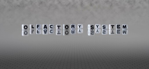 olfactory system word or concept represented by black and white letter cubes on a grey horizon background stretching to infinity