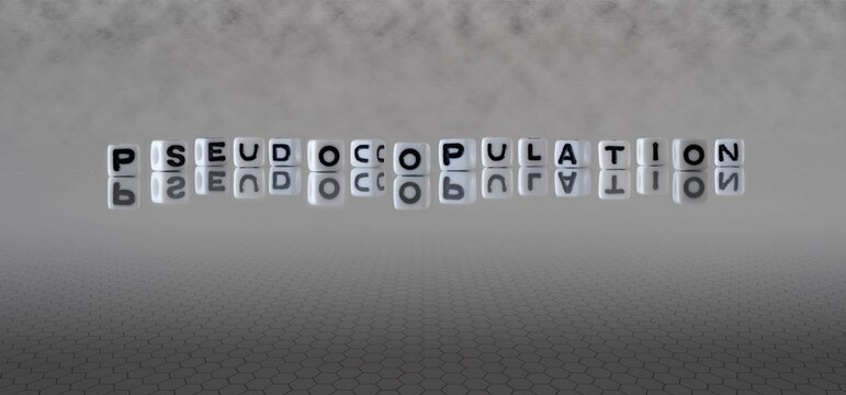 pseudocopulation word or concept represented by black and white letter cubes on a grey horizon background stretching to infinity