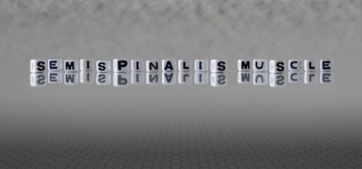semispinalis muscle word or concept represented by black and white letter cubes on a grey horizon...