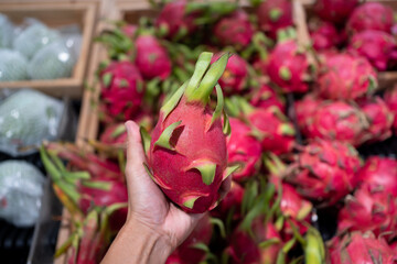Hand holding White-Fleshed dragon fruit (Pitaya Blanca) in super market