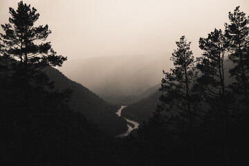 View from the conquered mountain peak: the rerkhushki trees, the river and the mountains below, a hazy haze in the distance