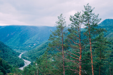 View from the conquered mountain peak: tops of pine trees, river and mountains below, fog haze in the distance