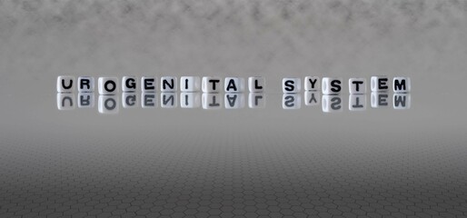urogenital system word or concept represented by black and white letter cubes on a grey horizon background stretching to infinity