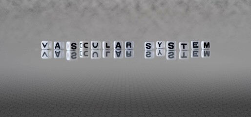 vascular system word or concept represented by black and white letter cubes on a grey horizon...
