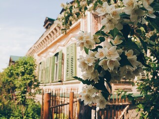 Beautiful the 19th century house. Russian rural architecture in Vladimir Oblast. Stucco molding and...