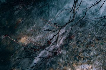 A bare branch in the turbulent flow of the river - an abstract landscape