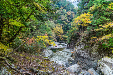 奈良県天川村の秋風景