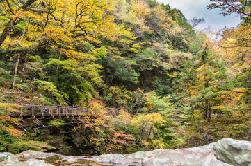 奈良県天川村の秋風景
