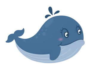 Store enrouleur Baleine Whale
