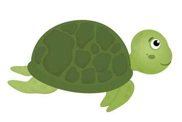 Green Turtle Character