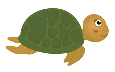 Turtle Character