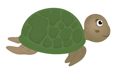 Turtle Character