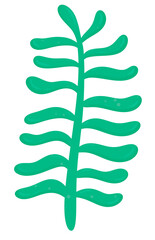 Seaweed, Marine Plant