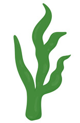 Seaweed, Marine Plant