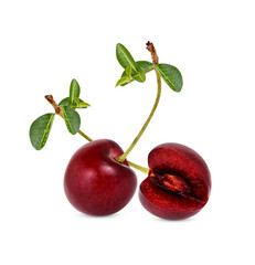 Cherry with leaves isolated on transparent background (.PNG)