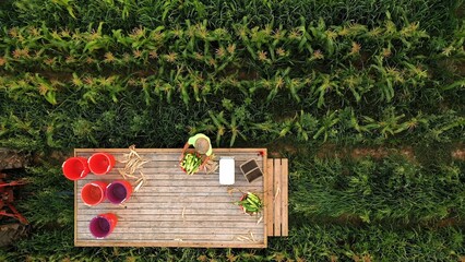 Overhead aerial closeup shot of a man picking corn in a field. Concept of Tractor, Harvest, Drone, Eco.