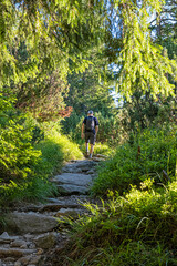 Hiker is walking on the footpath, High Tatras mountains, Slovakia