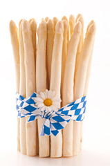 Fresh raw white asparagus bundle offered as close-up with Bavarian ribbon and dasy flower on white background with copy space