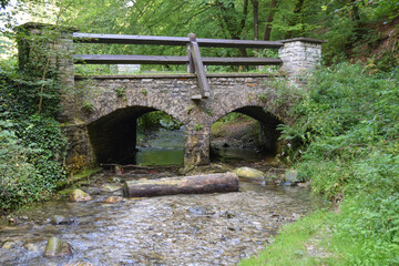 Brücke im Wald