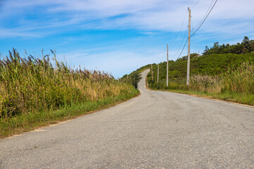 Fototapeta na wymiar Curved Upward Road Landscape With Tall Reeds on both sides against Blue Sky In New England, USA