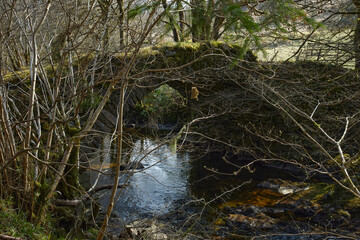 Fototapeta na wymiar Narrow and overgrown packhorse stone bridge in Glenbranter forest, Strachur, Argyll and Bute. Scotland
