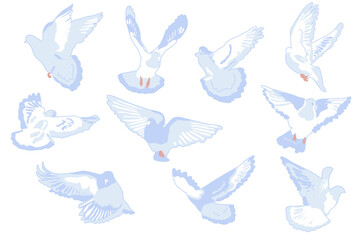 Fototapeta premium Flying doves set vector illustration isolated on white background. Birds in light blue and pink colors. Flat cartoon style 