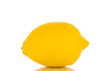 One bright yellow juicy lemon, macro, isolated on a white background.